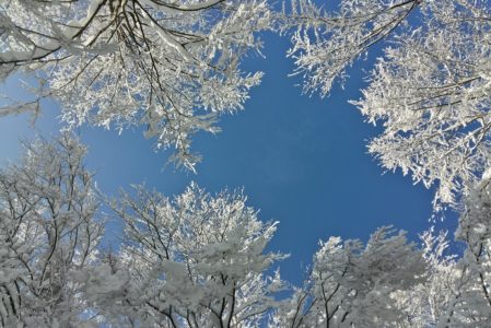 CAMPO INVERNALE 13-17 ANNI  APPENNINO REGGIANO