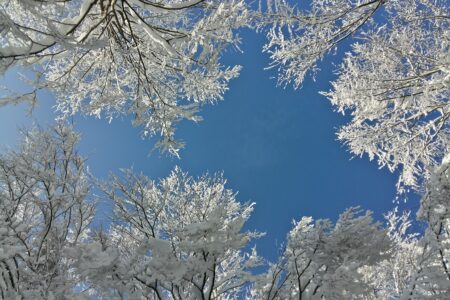 CAMPO INVERNALE 13-17 ANNI <BR/> APPENNINO REGGIANO