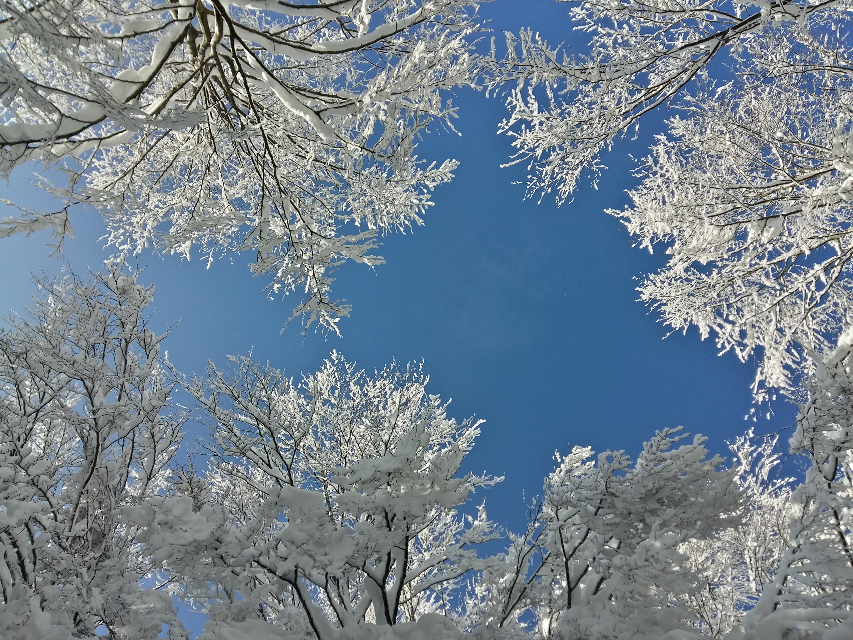 CAMPO INVERNALE 13-17 ANNI  APPENNINO REGGIANO