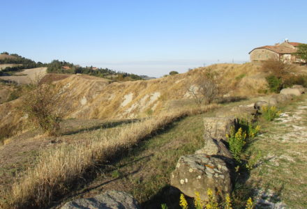 REGALI DI NATURA <br/> LUNEDÌ 23 DICEMBRE