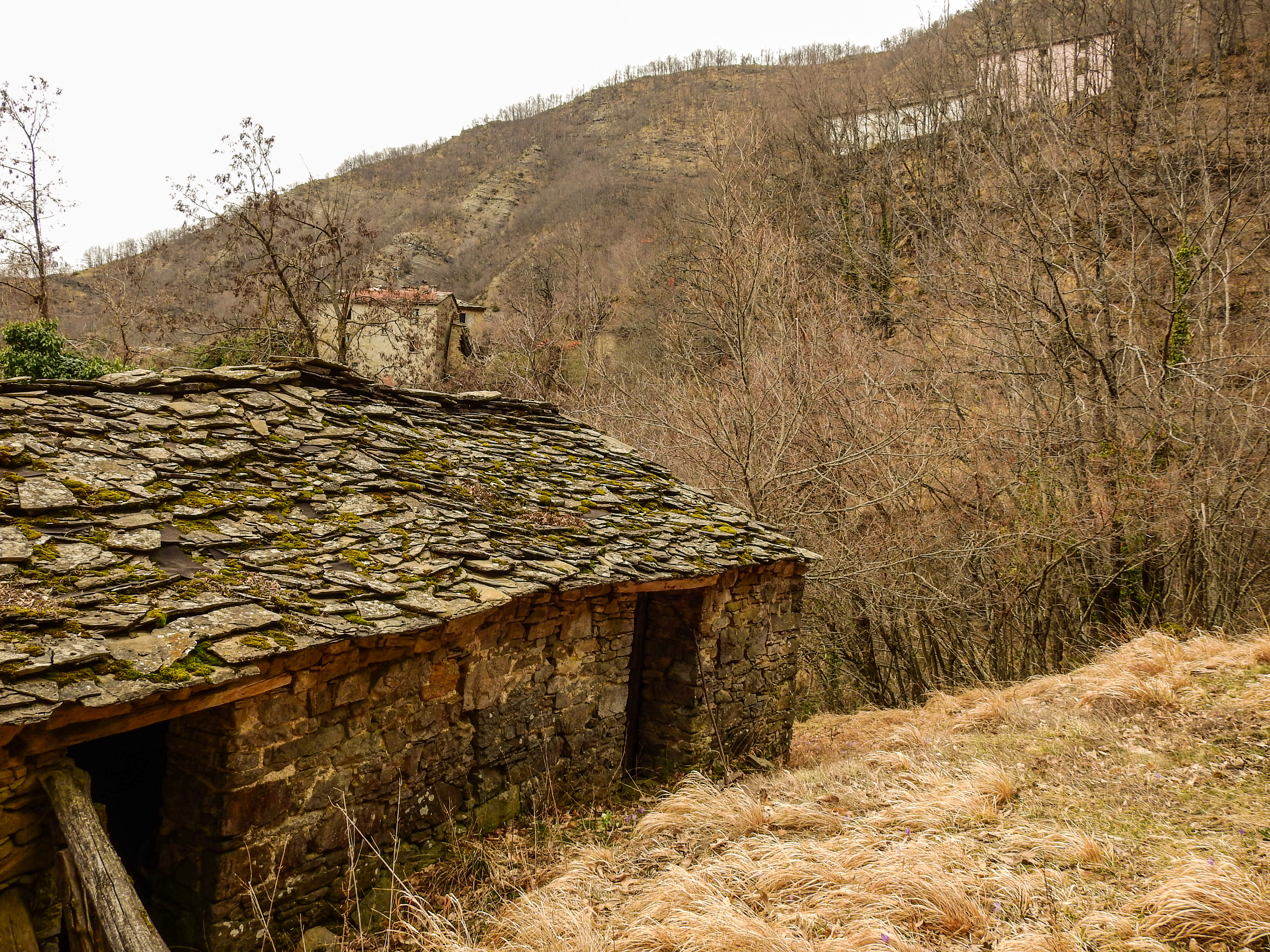 CHIAPPORATO E IL BOSCO IN INVERNO  SABATO 25 GENNAIO