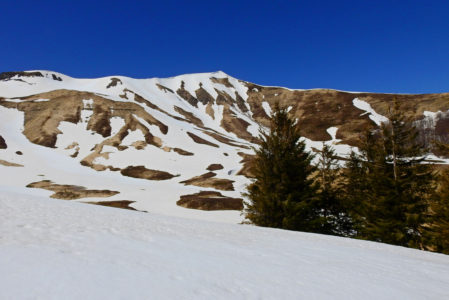 OLTRE IL GELO – AVVENTURA NELLA NATURA CHE RESISTE AL FREDDO    SABATO 1 MARZO