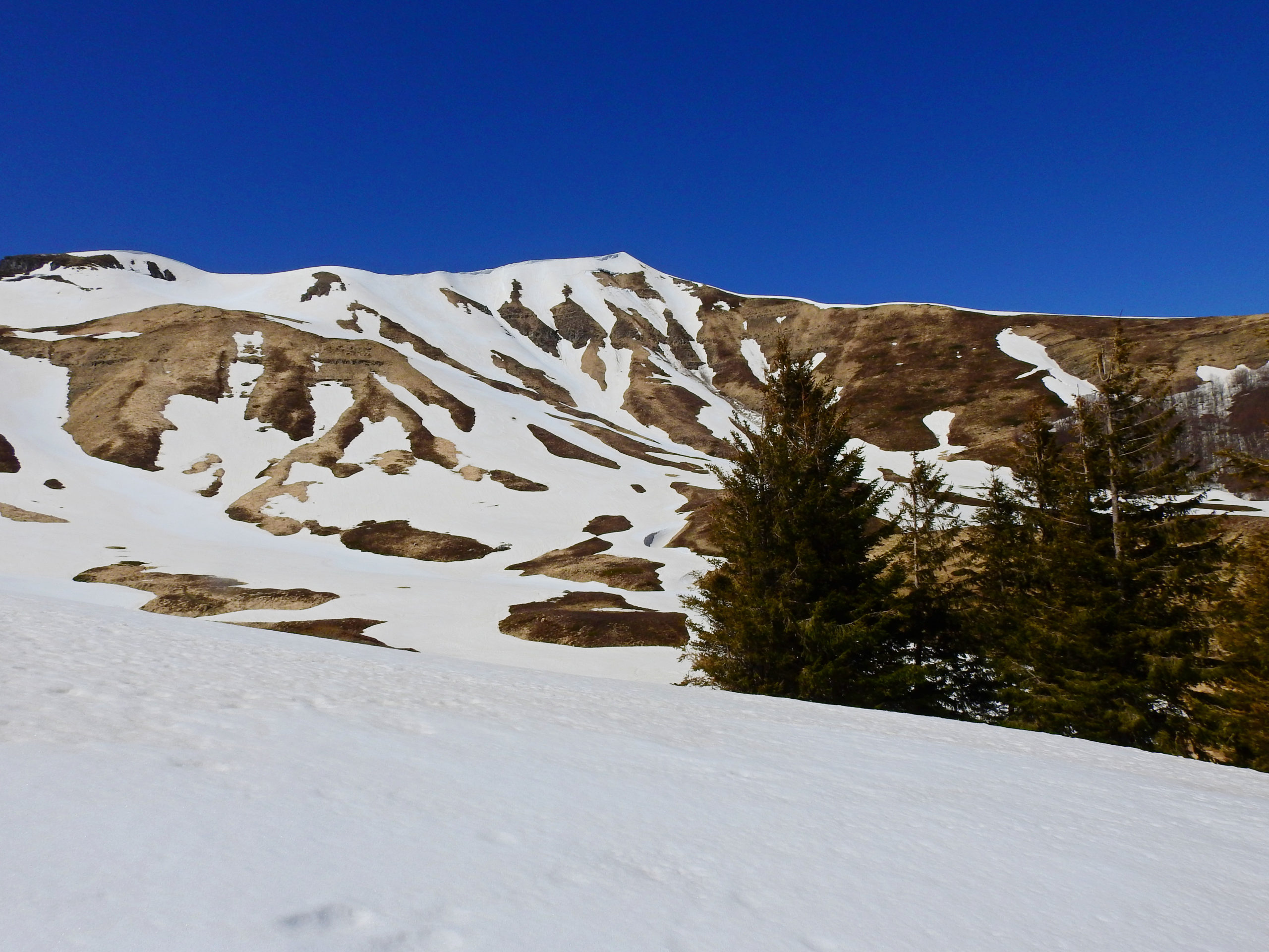 OLTRE IL GELO – AVVENTURA NELLA NATURA CHE RESISTE AL FREDDO    SABATO 1 MARZO