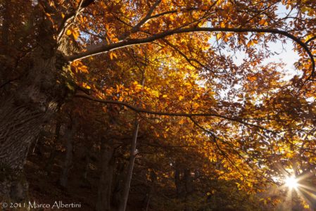 IL PORANCETO IN AUTUNNO  DOMENICA 27 OTTOBRE