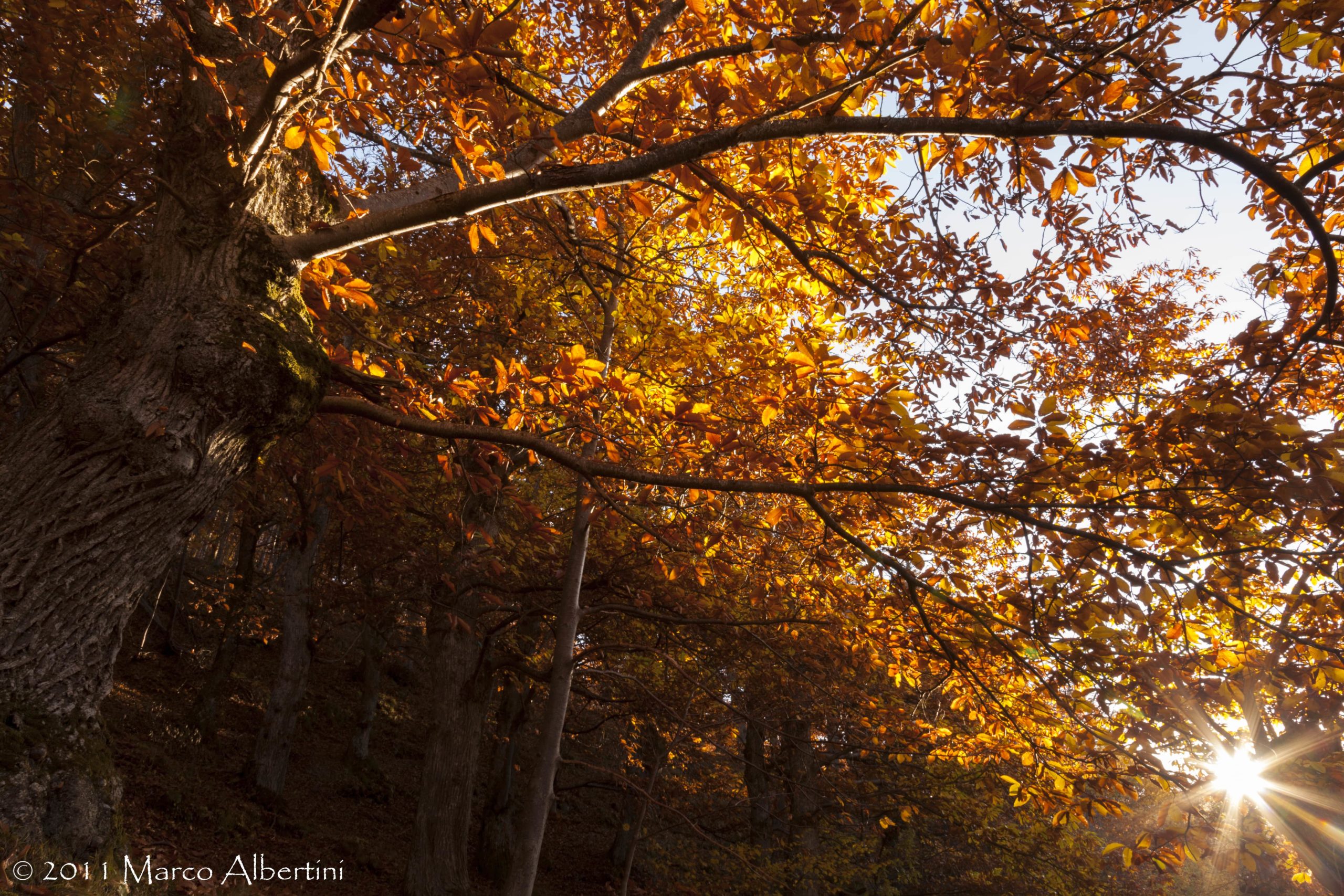 IL PORANCETO IN AUTUNNO  DOMENICA 27 OTTOBRE