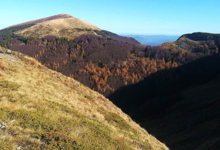 I CRINALI DEL PARCO <br/> SABATO 7 DICEMBRE