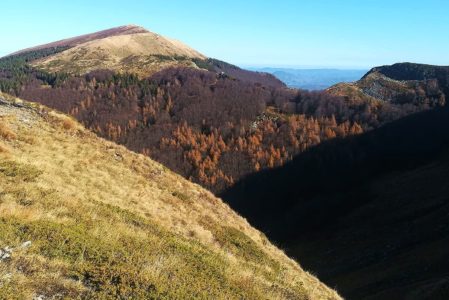 I CRINALI DEL PARCO  SABATO 7 DICEMBRE