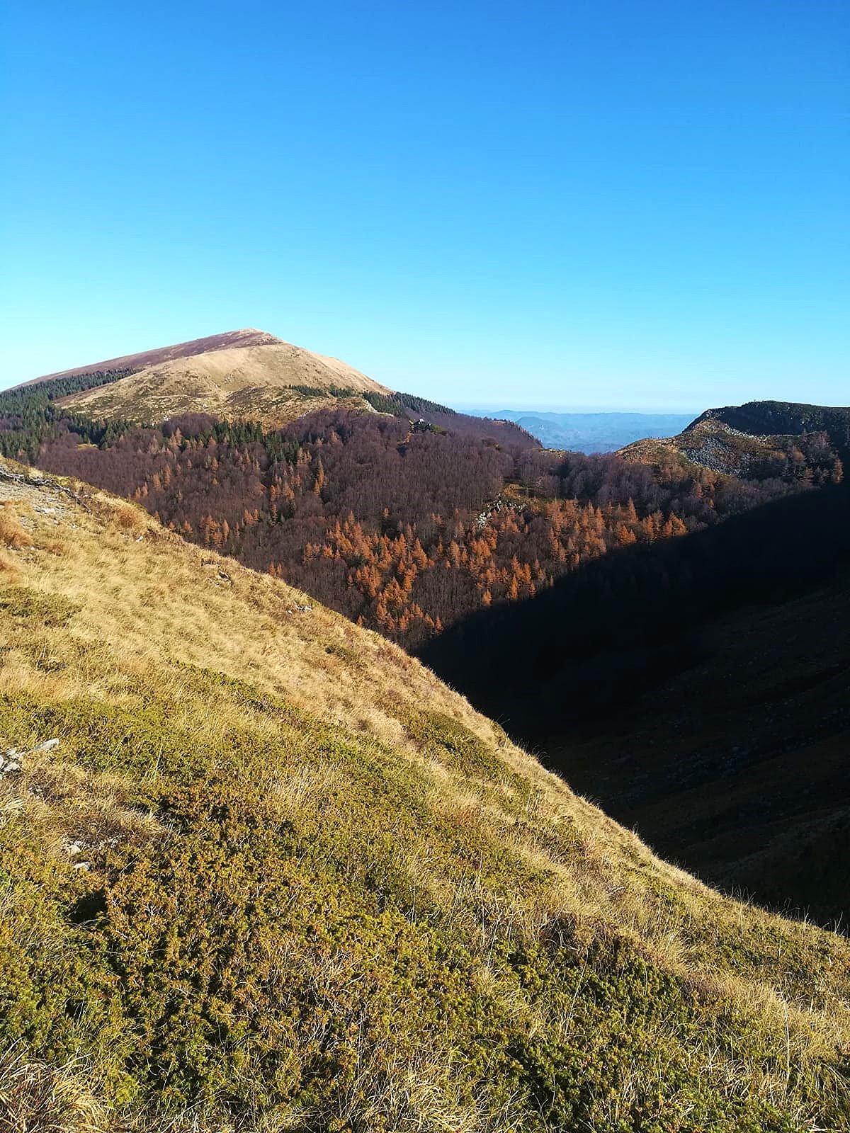 I CRINALI DEL PARCO  SABATO 7 DICEMBRE