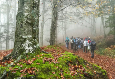 IL RIPOSO DEL PARCO <br/> GIOVEDÌ 26 DICEMBRE