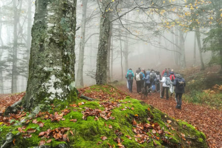 ALLE SORGENTI DEL BRASIMONE  SABATO 28 DICEMBRE