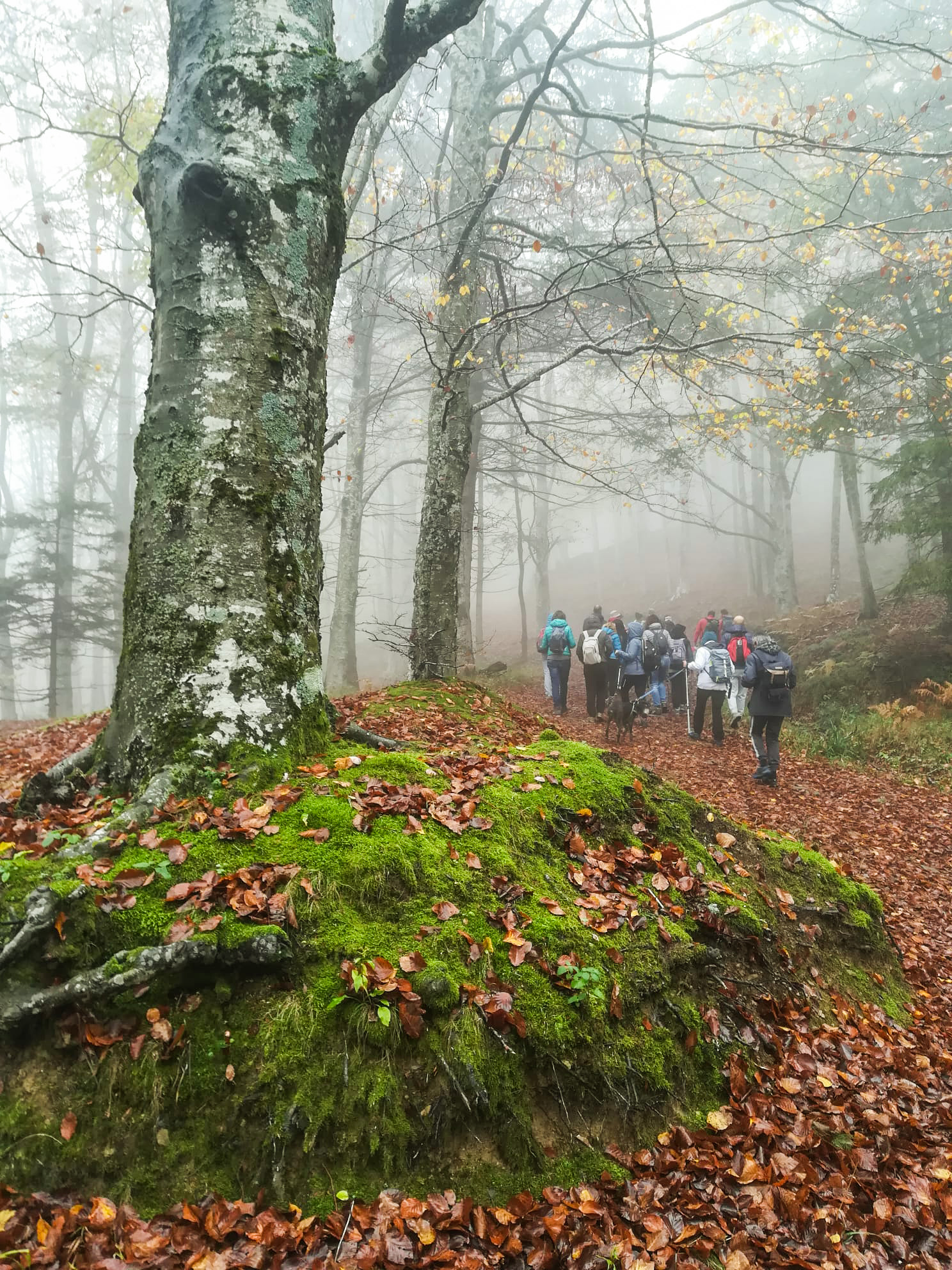 ALLE SORGENTI DEL BRASIMONE  SABATO 28 DICEMBRE