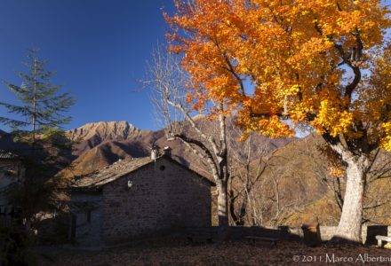 TRA IL BOSCO E LA ROCCIA: ESCURSIONE A MONTEPIZZO <br/> DOMENICA 24 NOVEMBRE