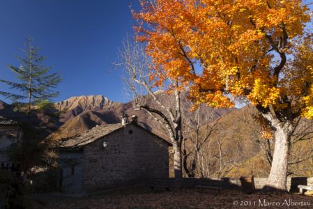 TRA IL BOSCO E LA ROCCIA: ESCURSIONE A MONTEPIZZO  DOMENICA 24 NOVEMBRE