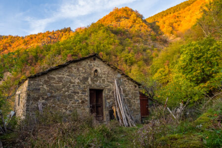 CHIAPPORTATO PERDUTO – FRA NATURA E RICORDI   DOMENICA 10 NOVEMBRE