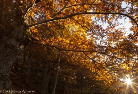 IN CAMMINO AL LAGO DI SANTA MARIA <br/> DOMENICA 17 NOVEMBRE