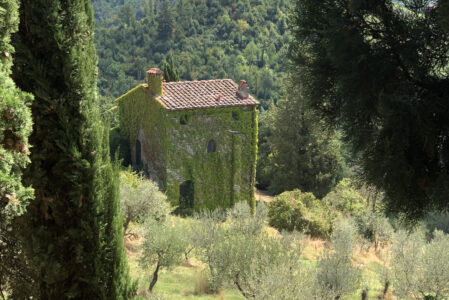 CAMMINANDO NELLE TERRE DEI MEDICI  SABATO 22 MARZO