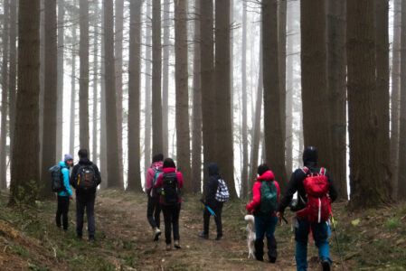 MONTE TRONALE E IL LAGO TAVIANELLA – TRA FAGGI SECOLARI E STORIE PERDUTE  DOMENICA 12 GENNAIO